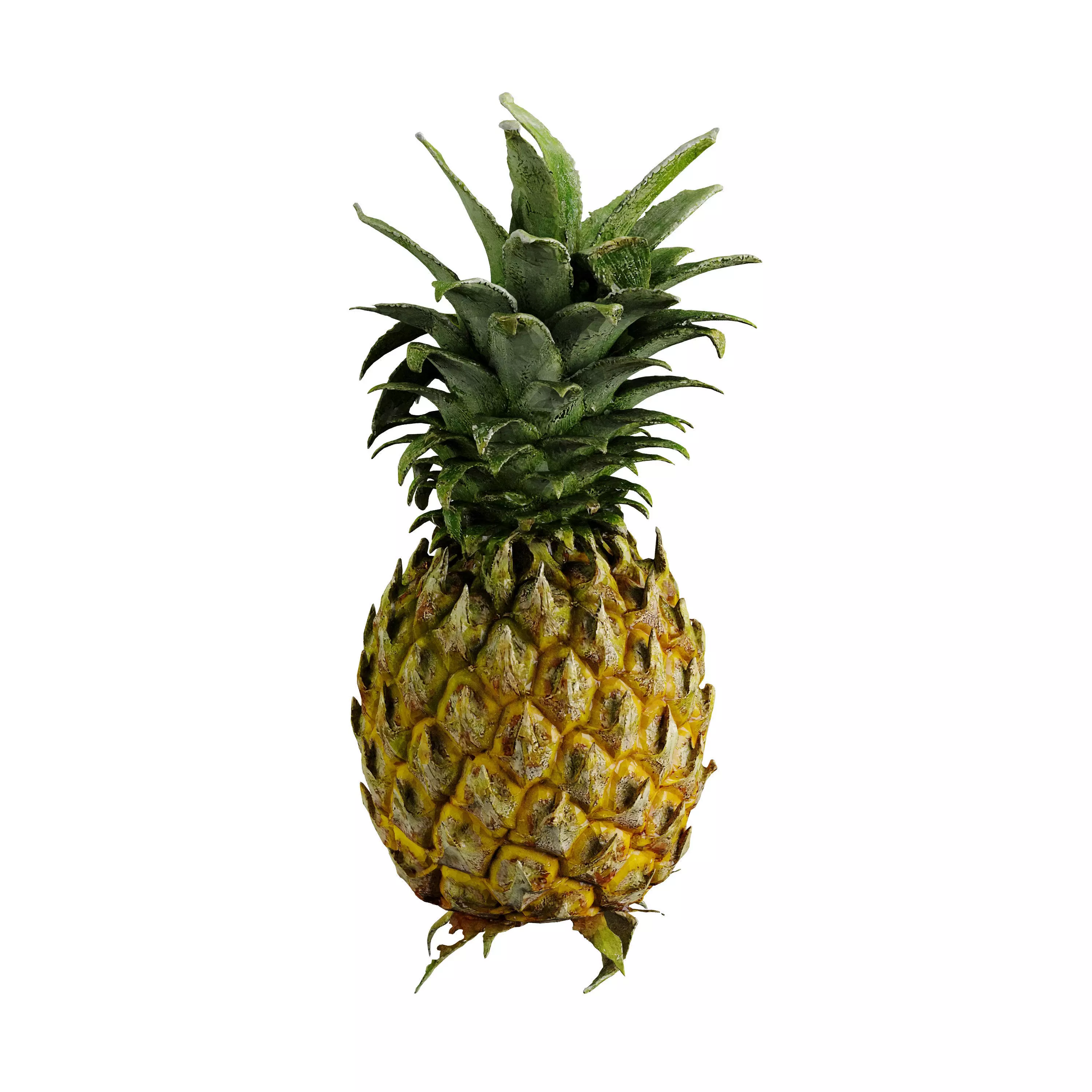 Pineapple - Photogrammetry 3D model