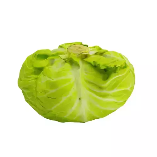 Cabbage - Photogrammetry  3D model