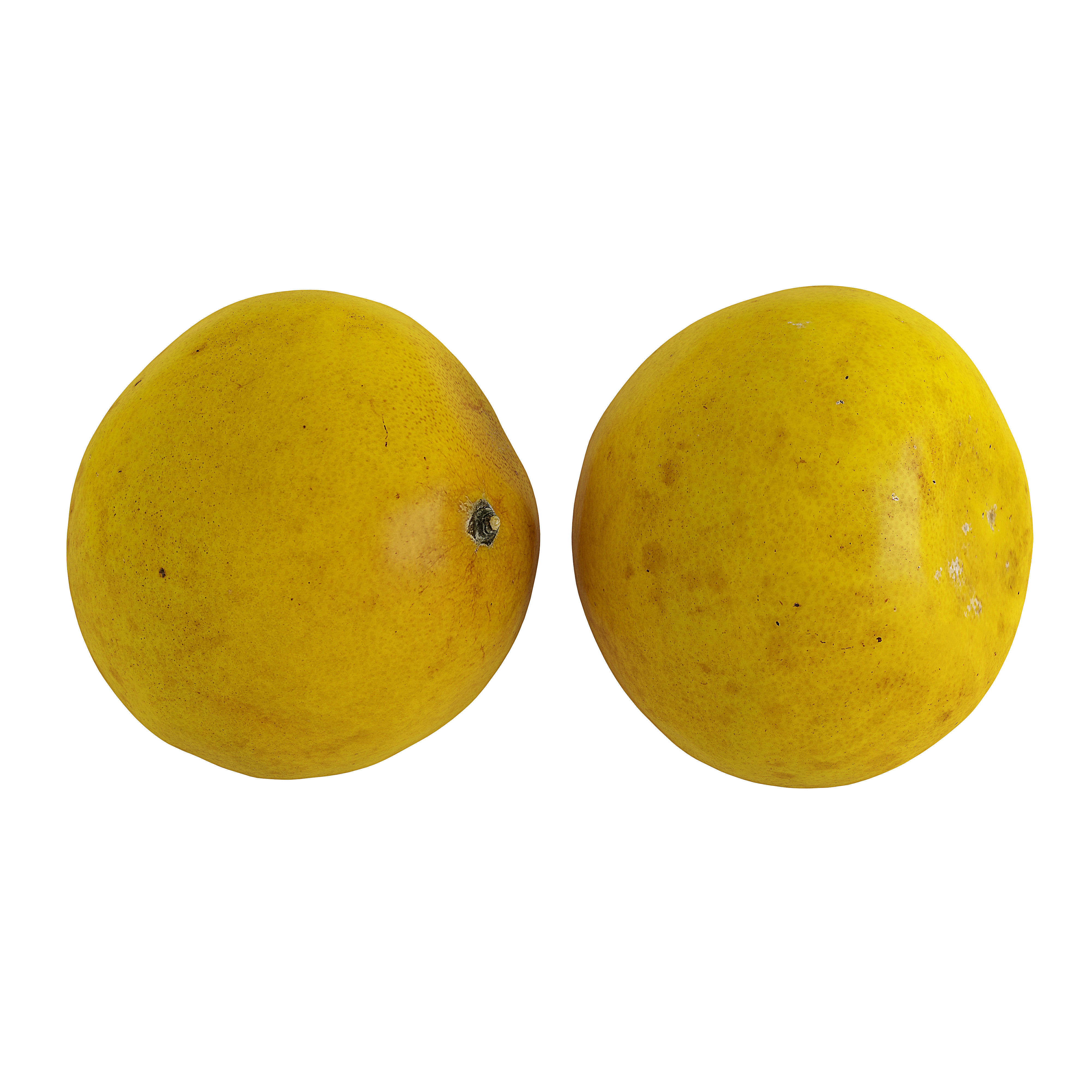 Pomelo Photogrammetry 3D model CGTrader