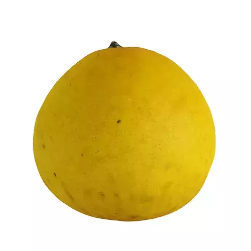 Pomelo - Photogrammetry 3D model