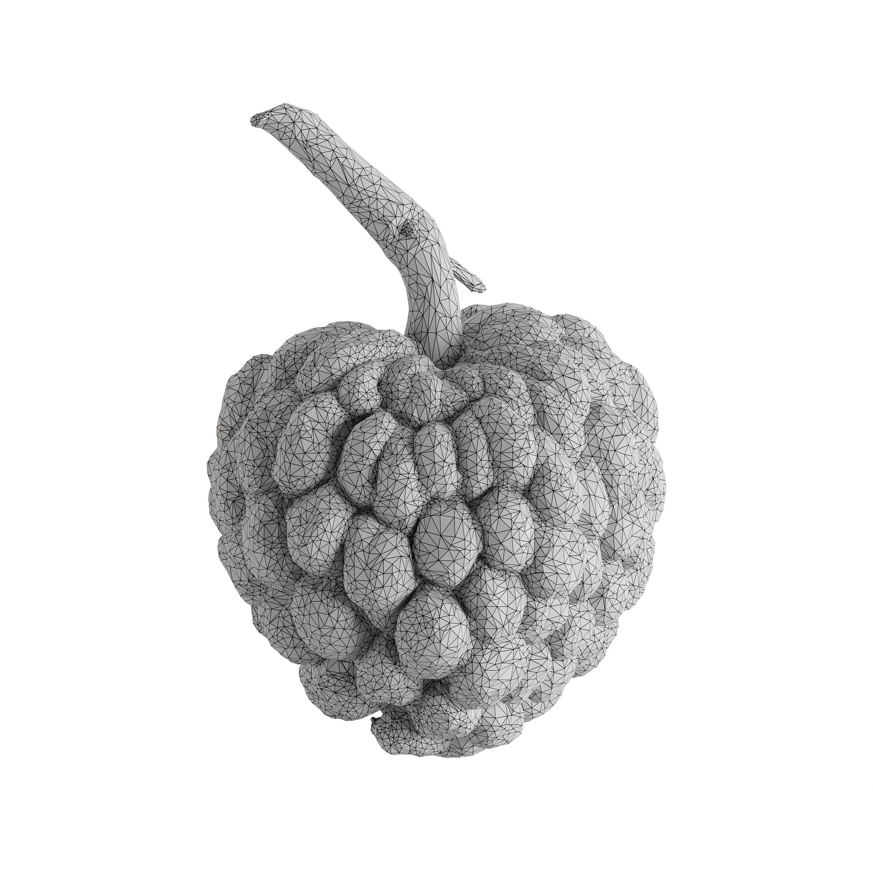 Custard Apple - Photogrammetry 3D model_5