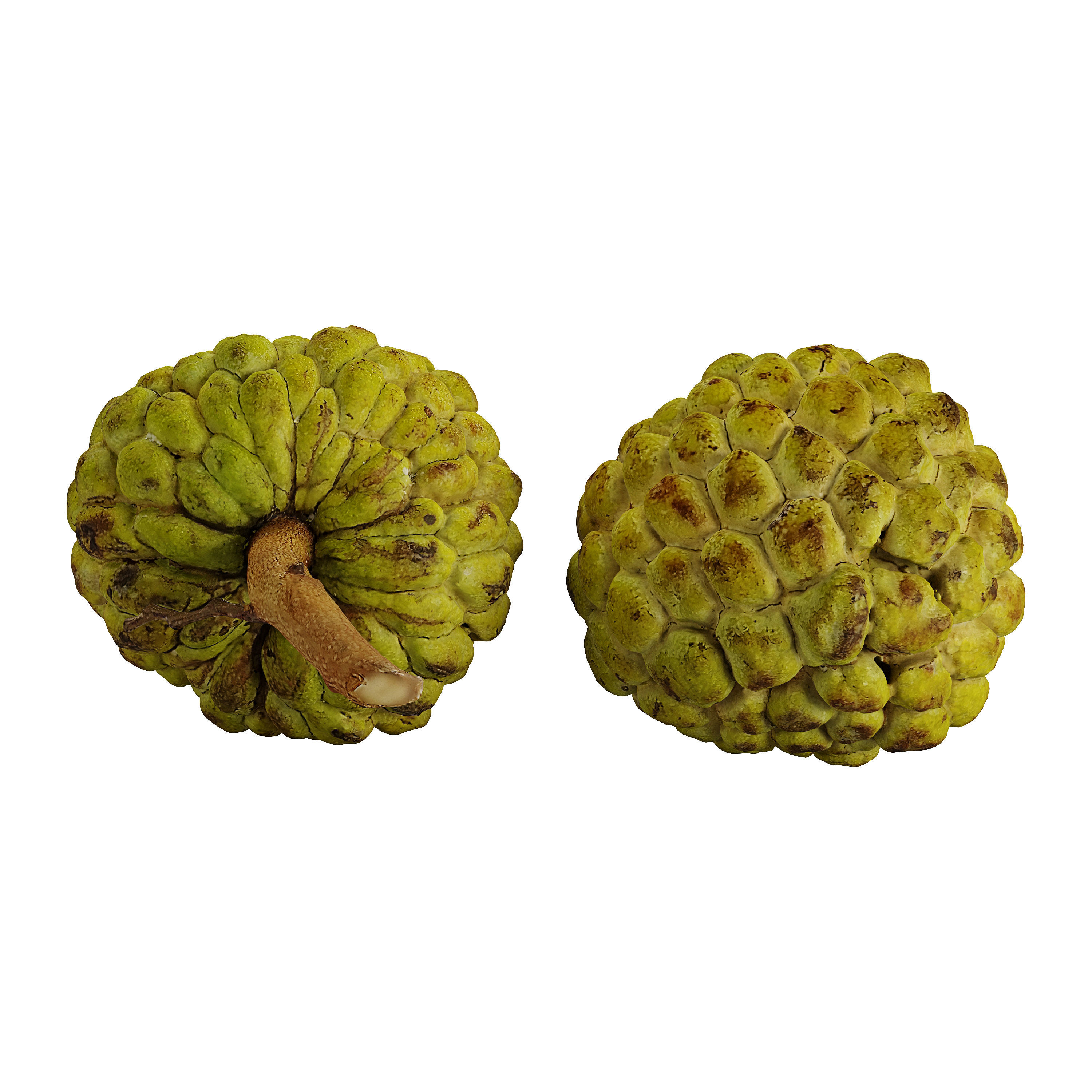 Custard Apple - Photogrammetry 3D model_4