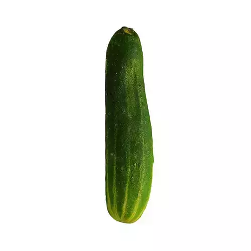 Cucumber - Photogrammetry  3D model