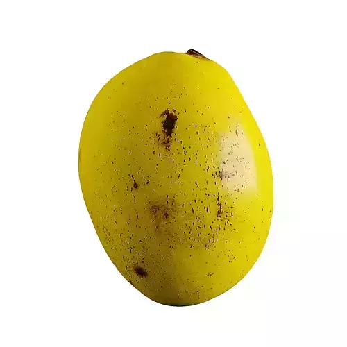 Mango - Photogrammetry  3D model