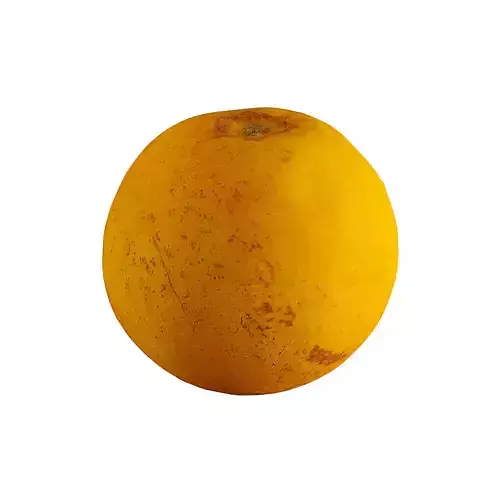 Orange - Photogrammetry  3D model