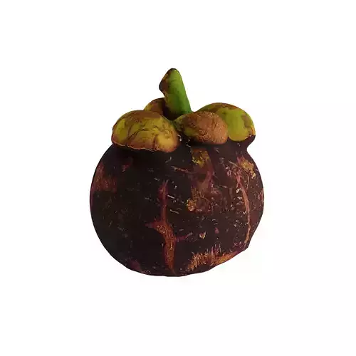 Mangosteen - Photogrammetry 3D model