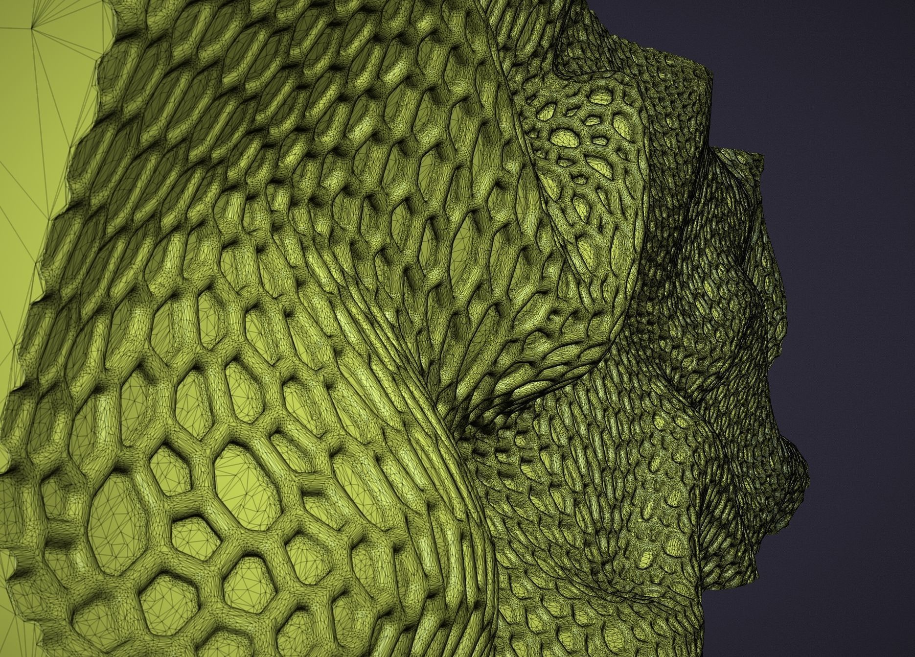 Parametric wall voronoi 3D print model_13