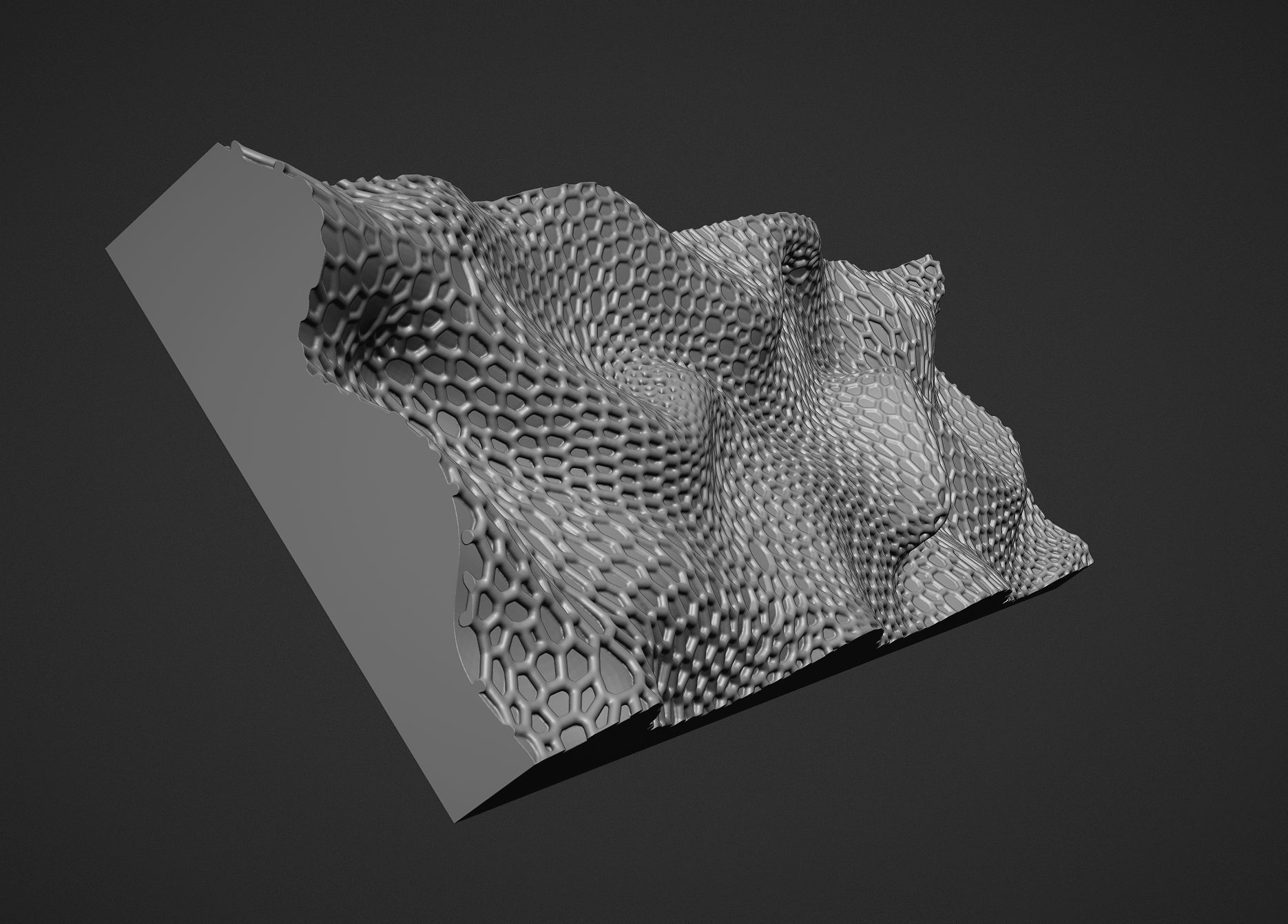 Parametric wall voronoi 3D print model_8
