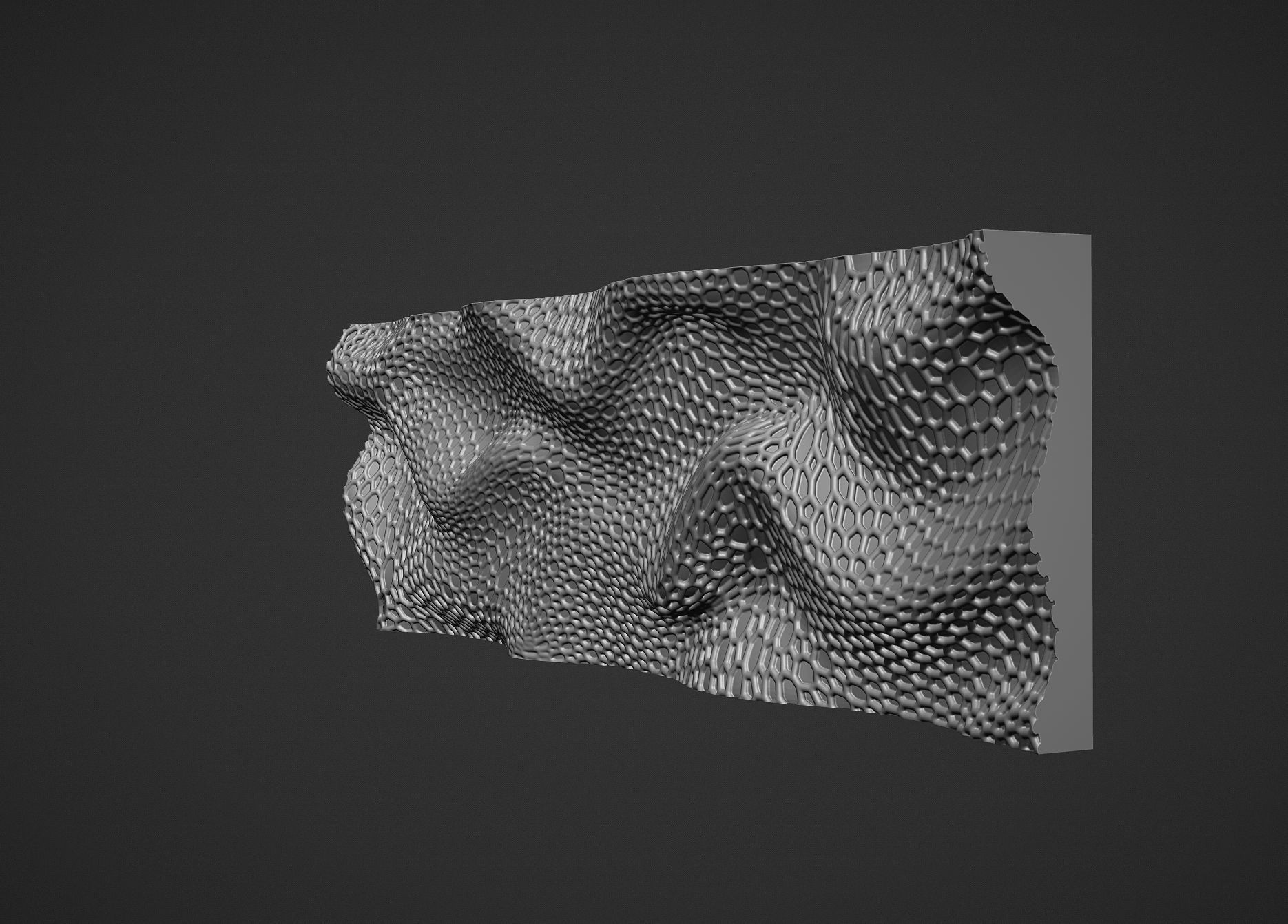 Parametric wall voronoi 3D print model_6