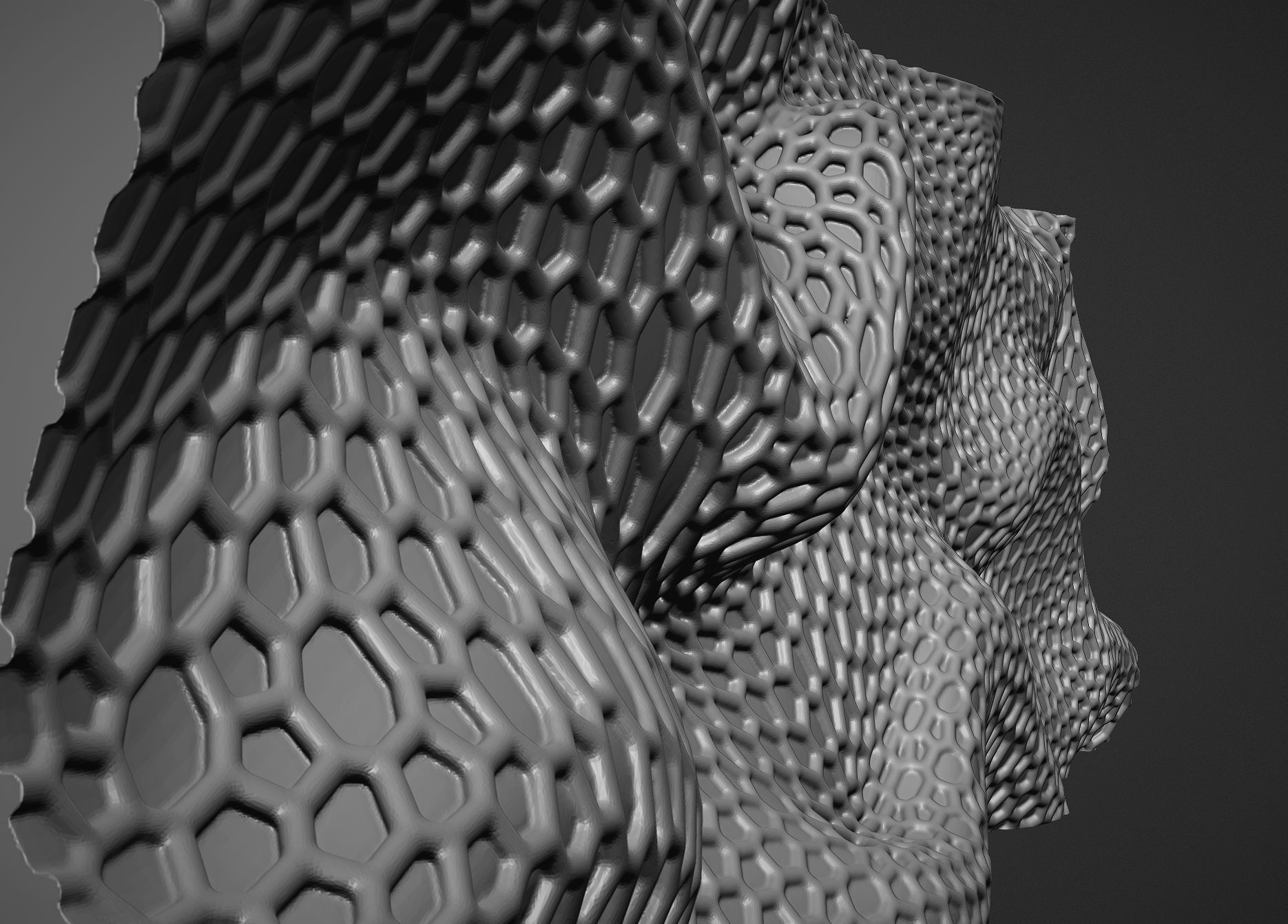Parametric wall voronoi 3D print model_12