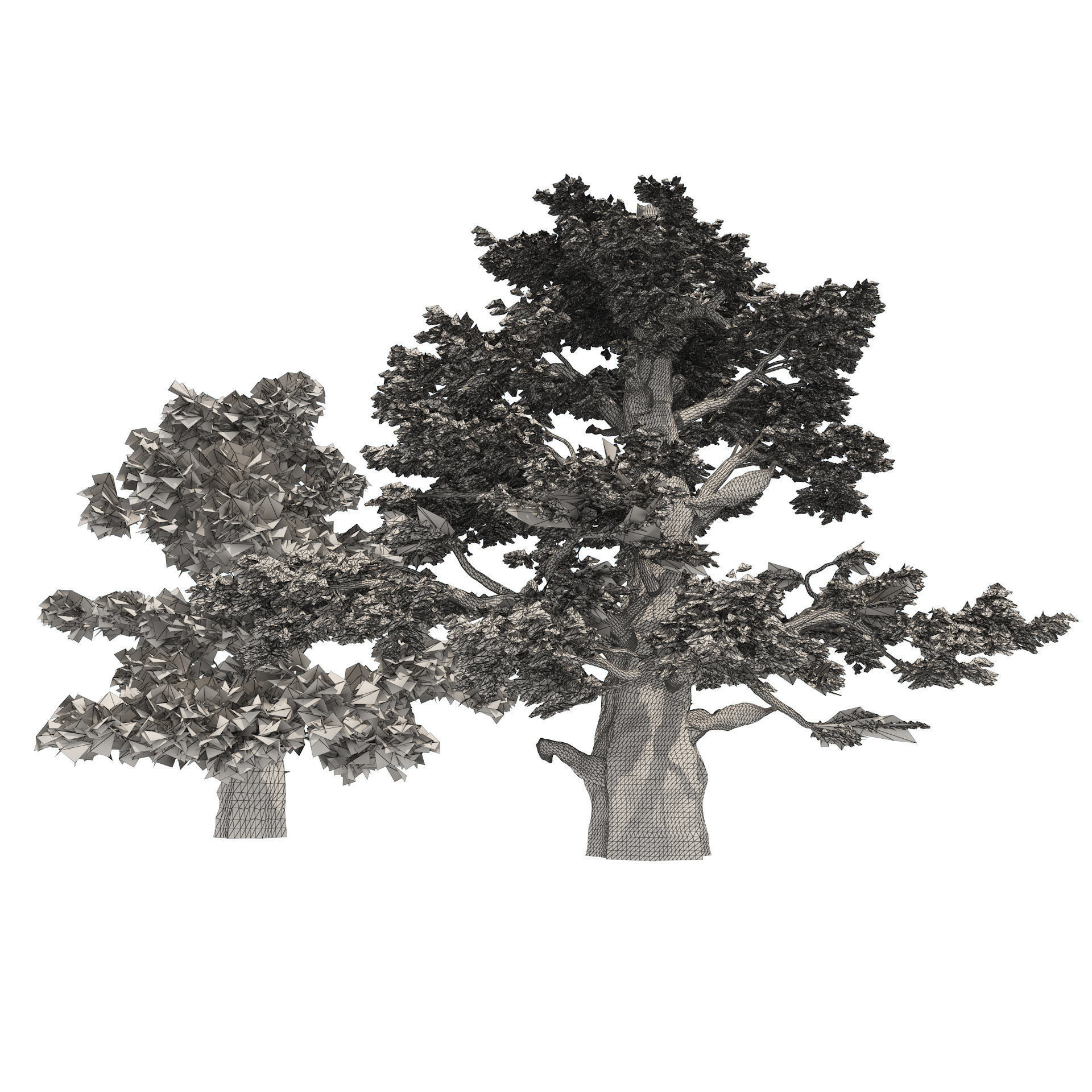 Juniper trees with berries fruit Low-poly 3D model_4