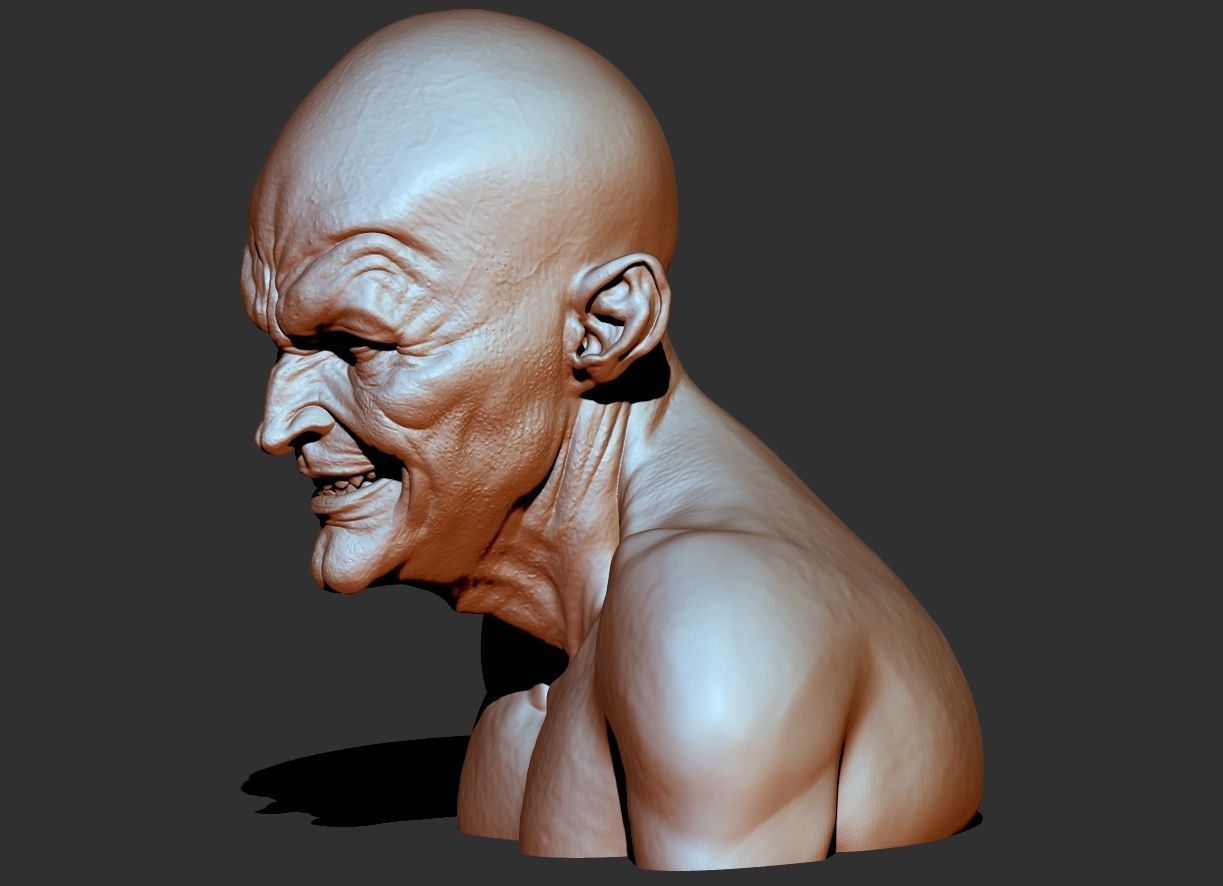 Oldman 3dprint  3D model_1