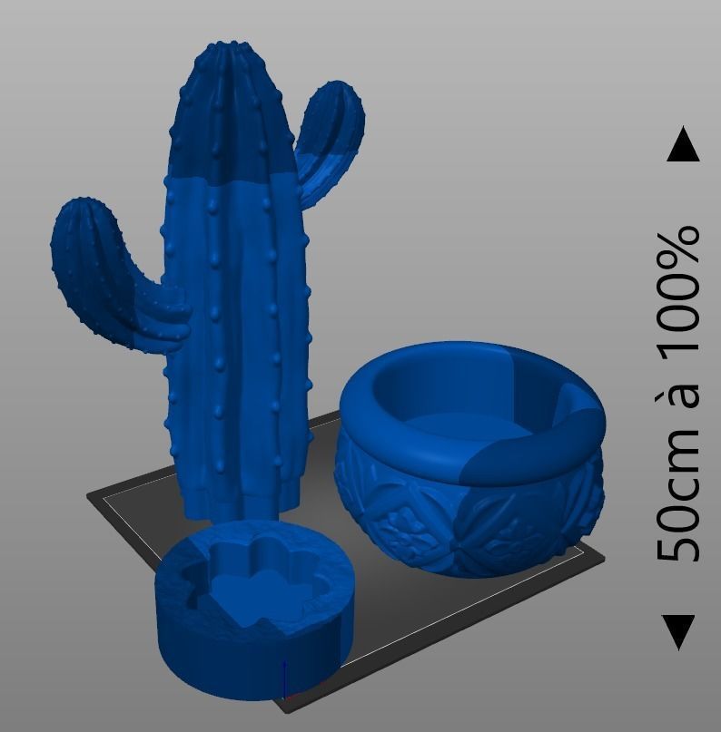 San Pedro cactus 3D print model_1