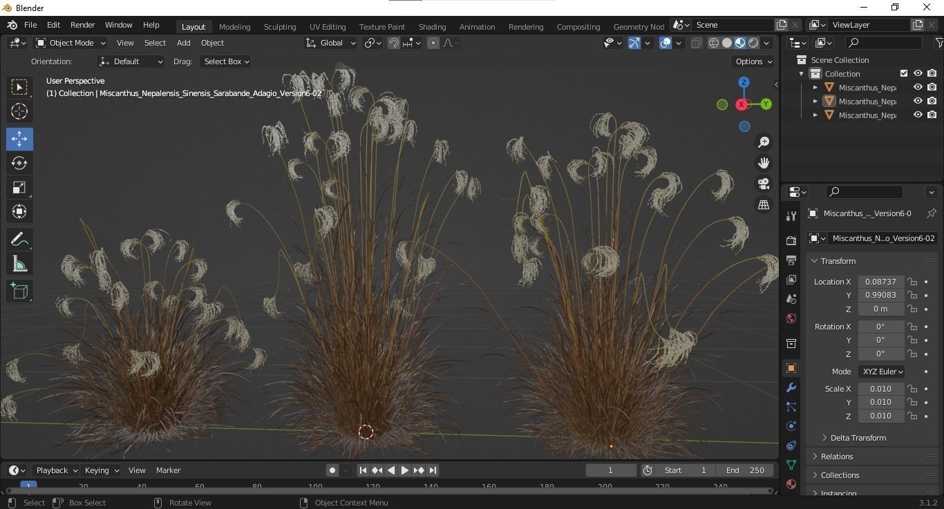 Plants Miscanthus Nepalensis Sinensis Sarabande Adagio Version06 3D model_6