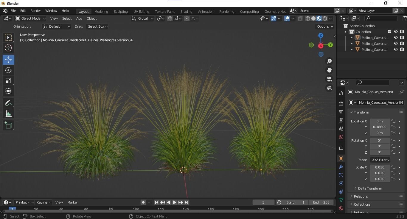 Plants Molinia Caerulea Heidebraut Kleines Pfeifengras Version04 3D model_5