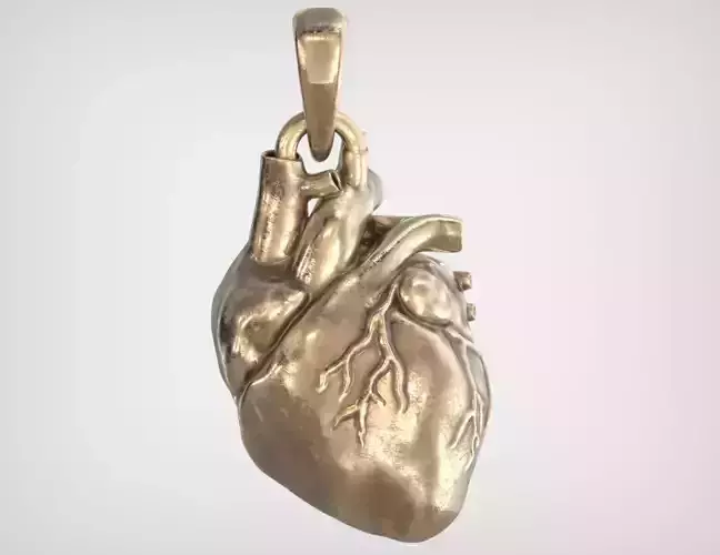 Anatomical Heart Pendant 3D print model