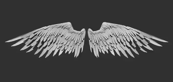 wings
