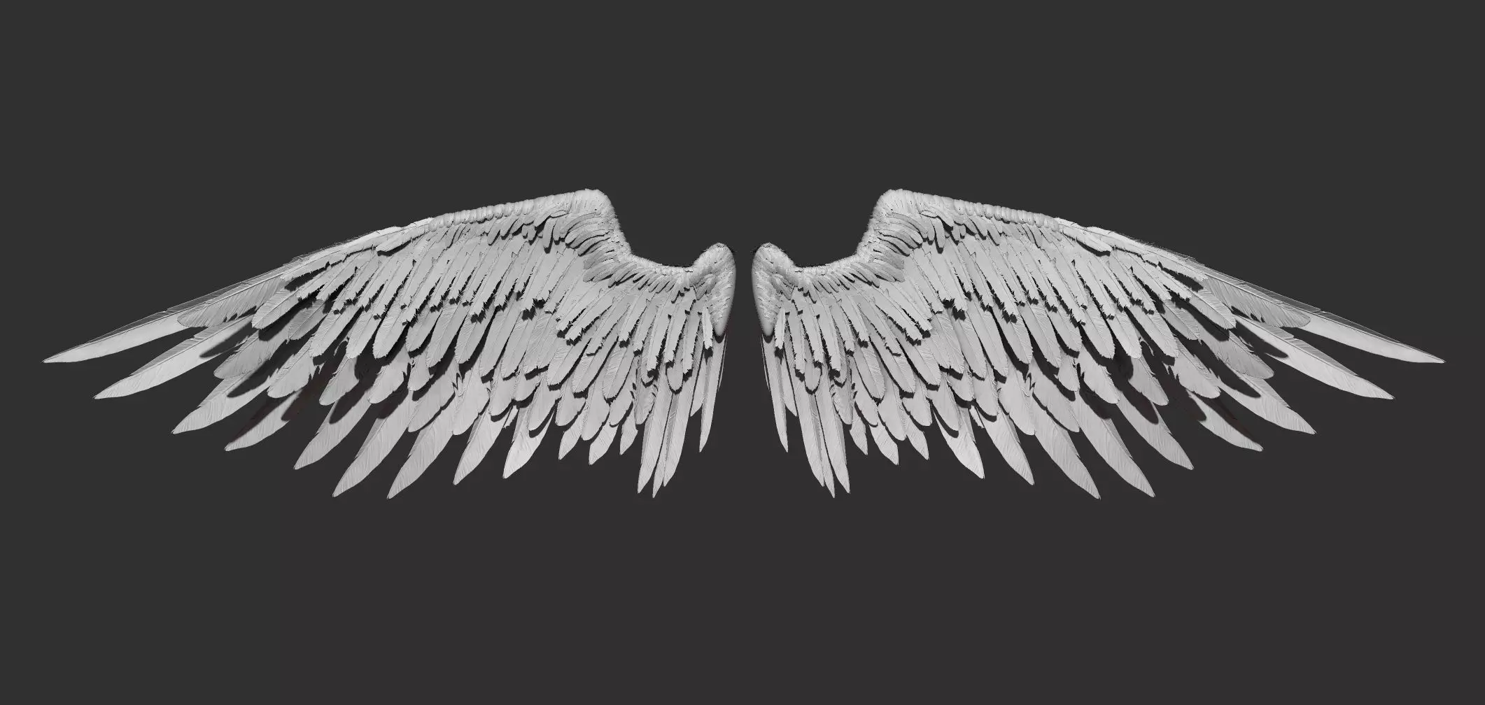 wings 3D model_0