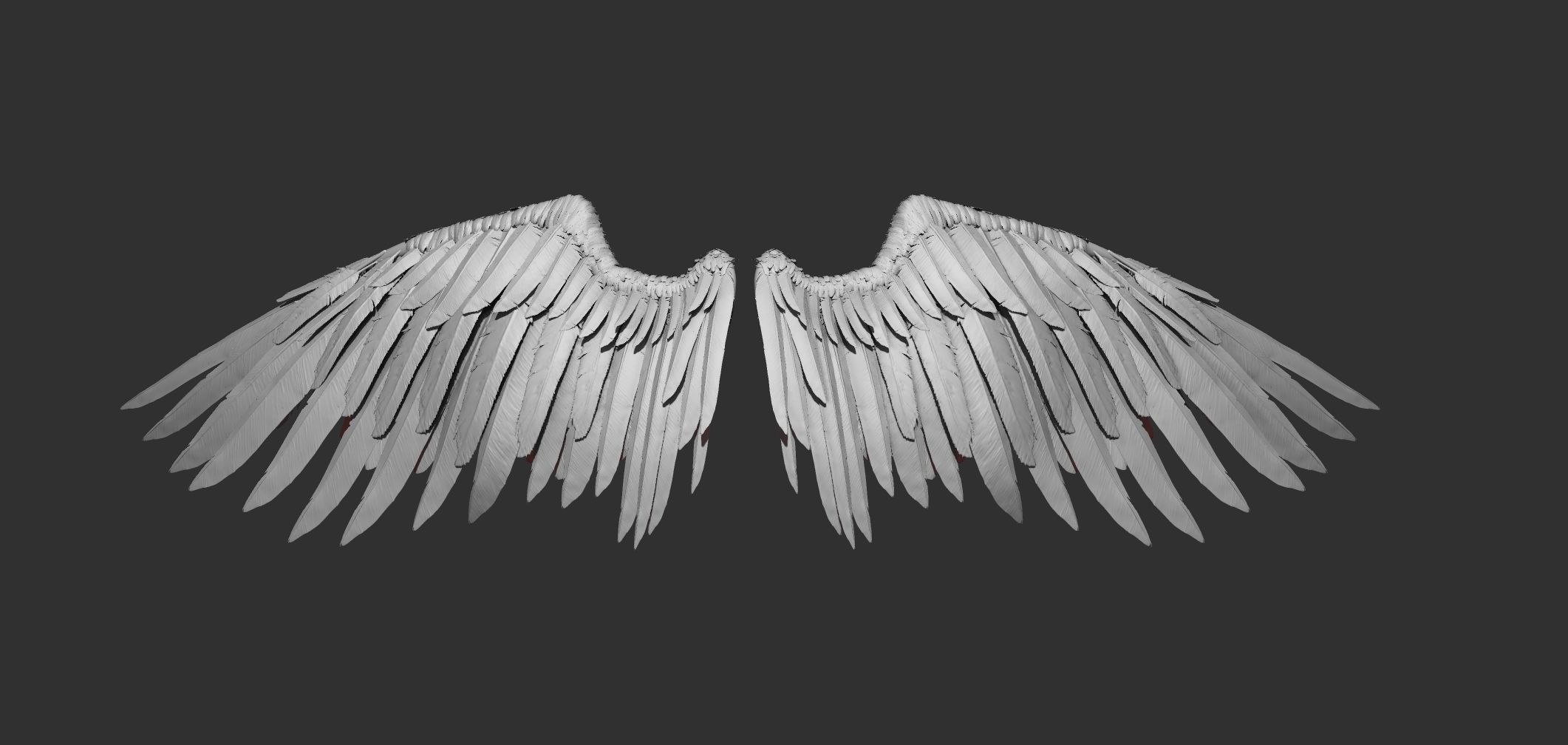wings 3D model_2