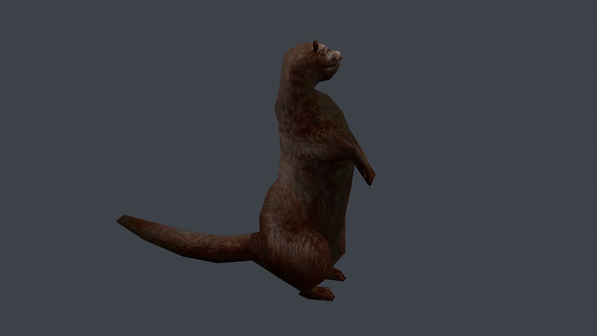 Animated marten Low-poly 3D model_7