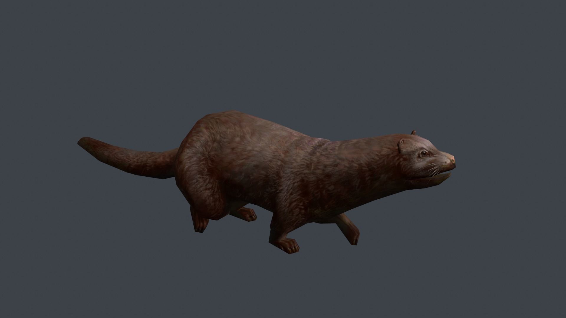 Animated marten Low-poly 3D model_3
