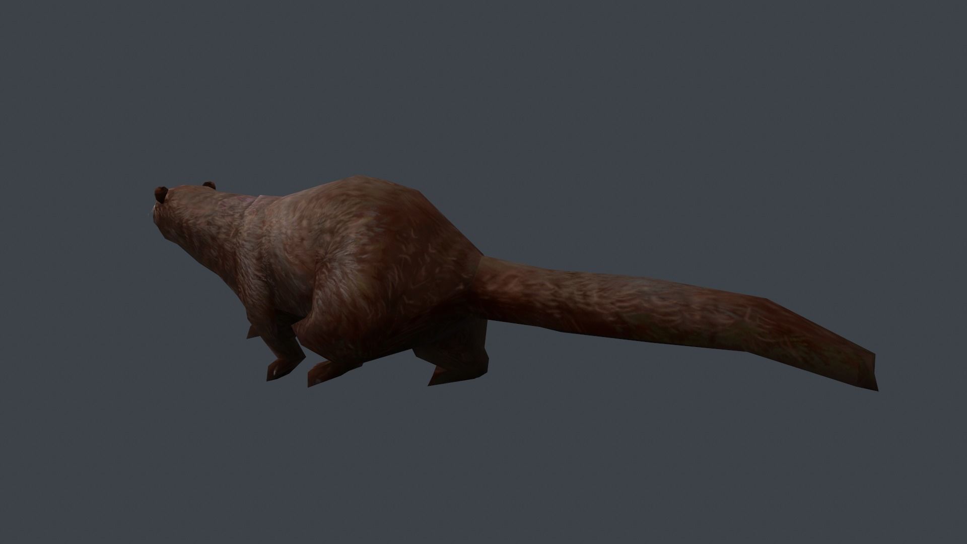 Animated marten Low-poly 3D model_4