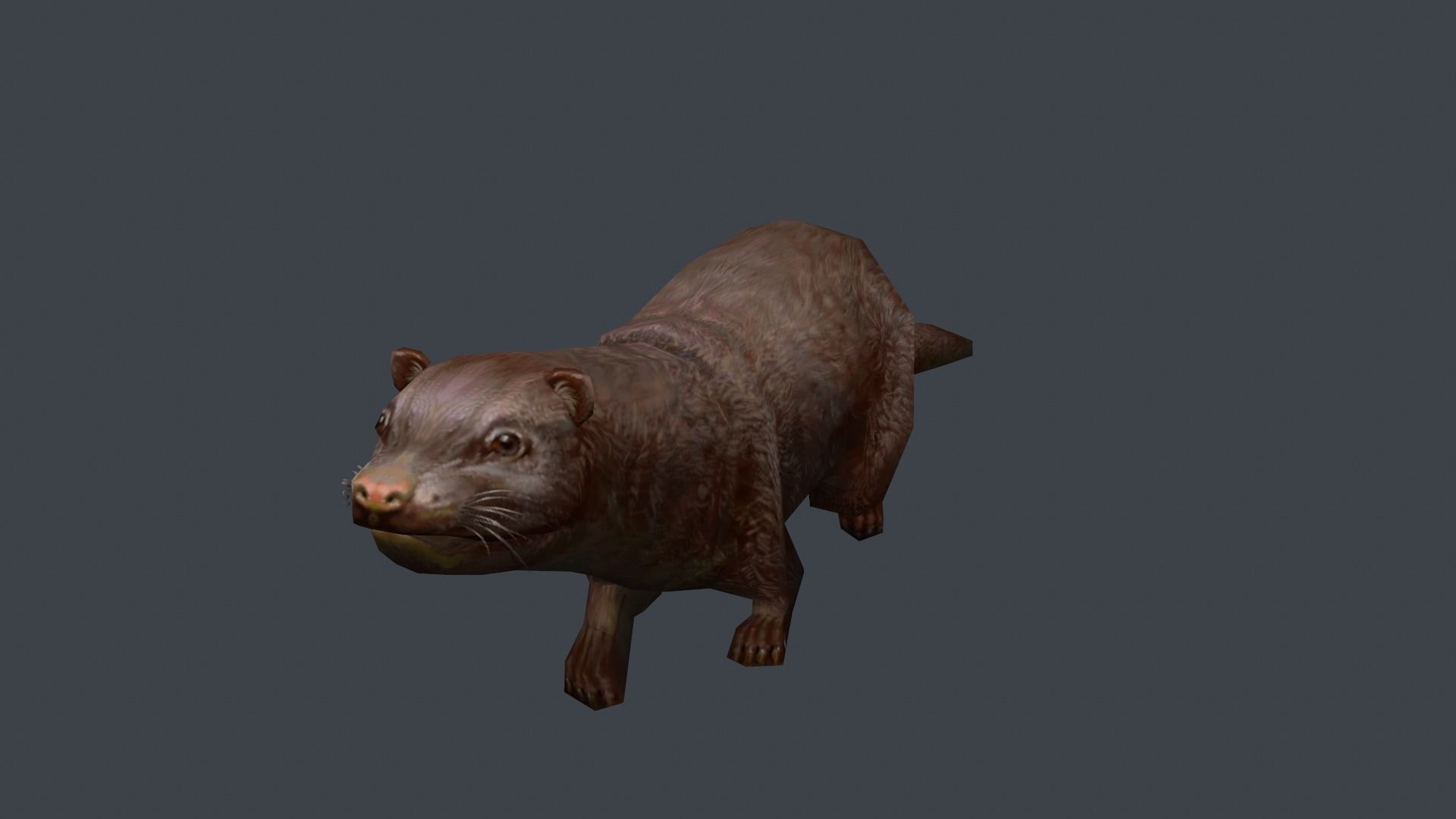 Animated marten Low-poly 3D model_6