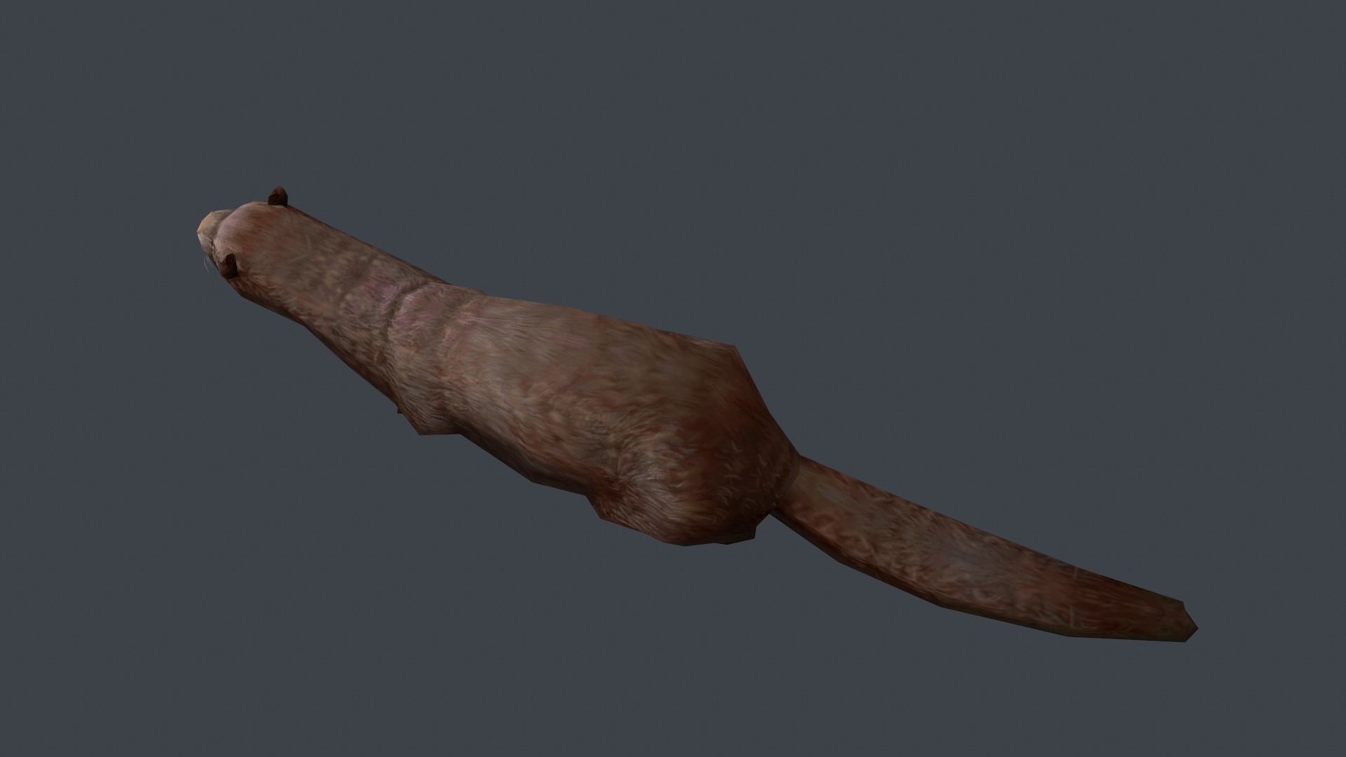 Animated marten Low-poly 3D model_5