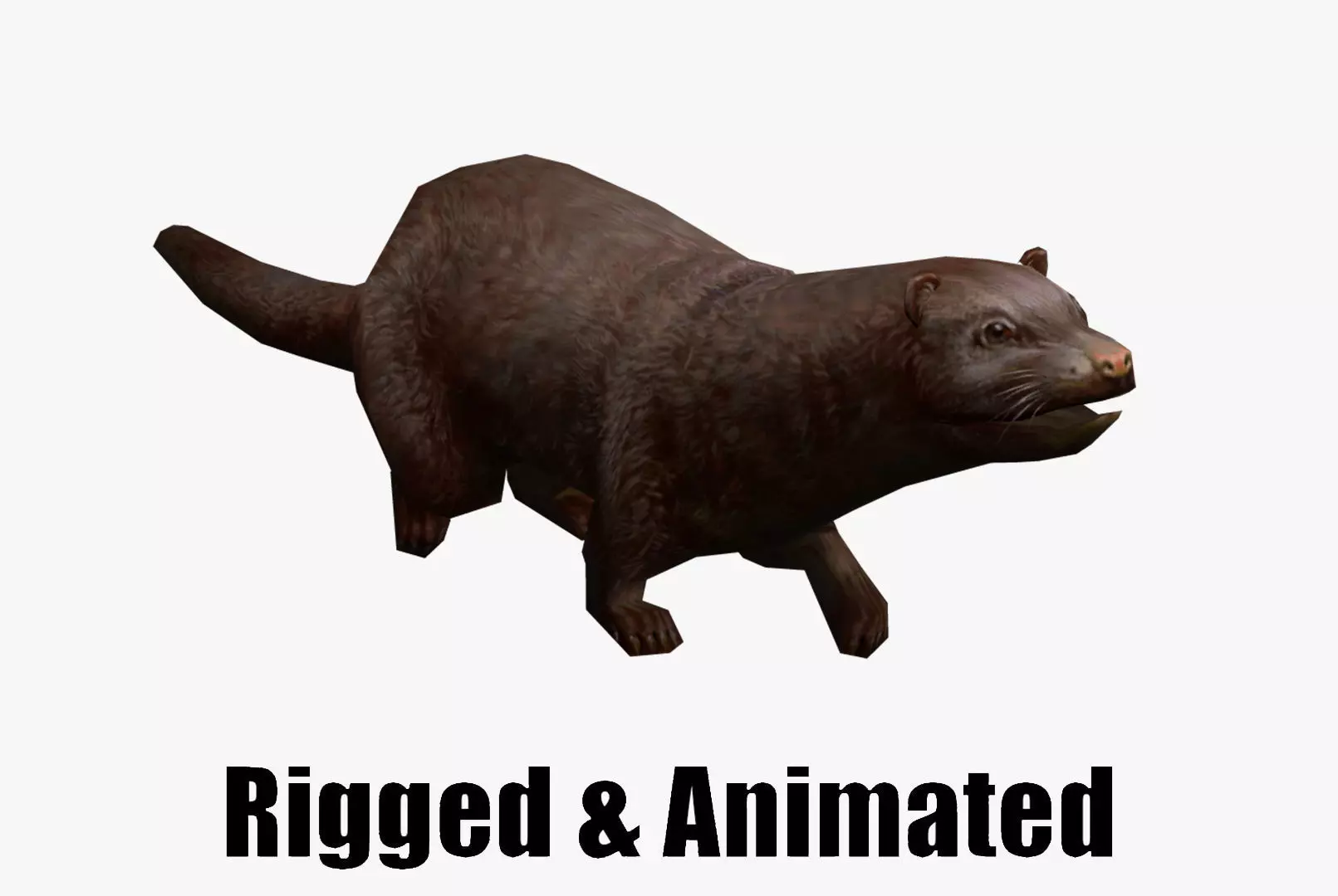 Animated marten Low-poly 3D model_0