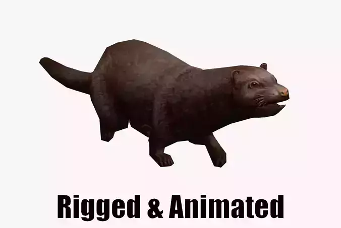 Animated marten Low-poly 3D model
