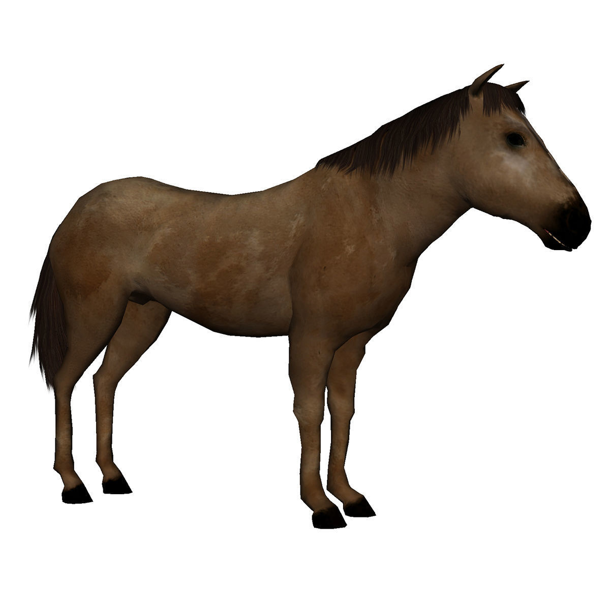 Lowpoly Brown Horse  Animated for VR AR Games  Low-poly 3D model_2