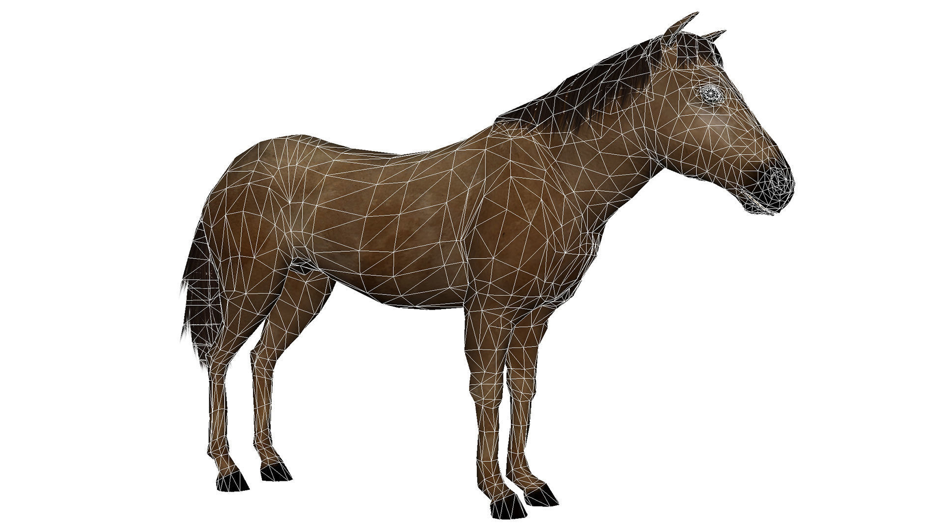 Lowpoly Brown Horse  Animated for VR AR Games  Low-poly 3D model_9