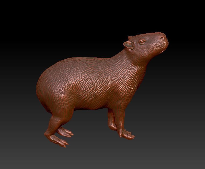 capybara 7 poses 3D print model_2