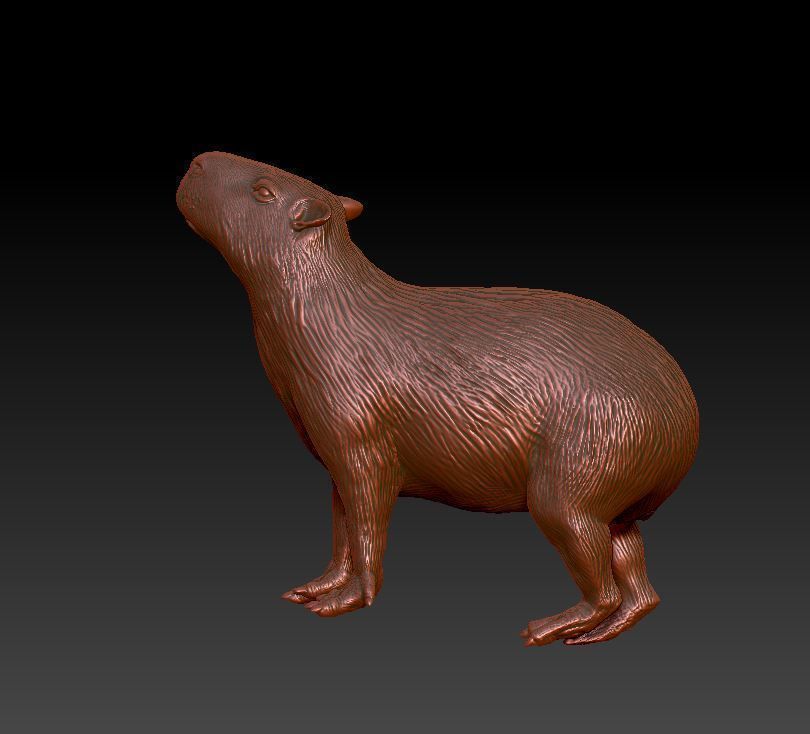 capybara 7 poses 3D print model_3