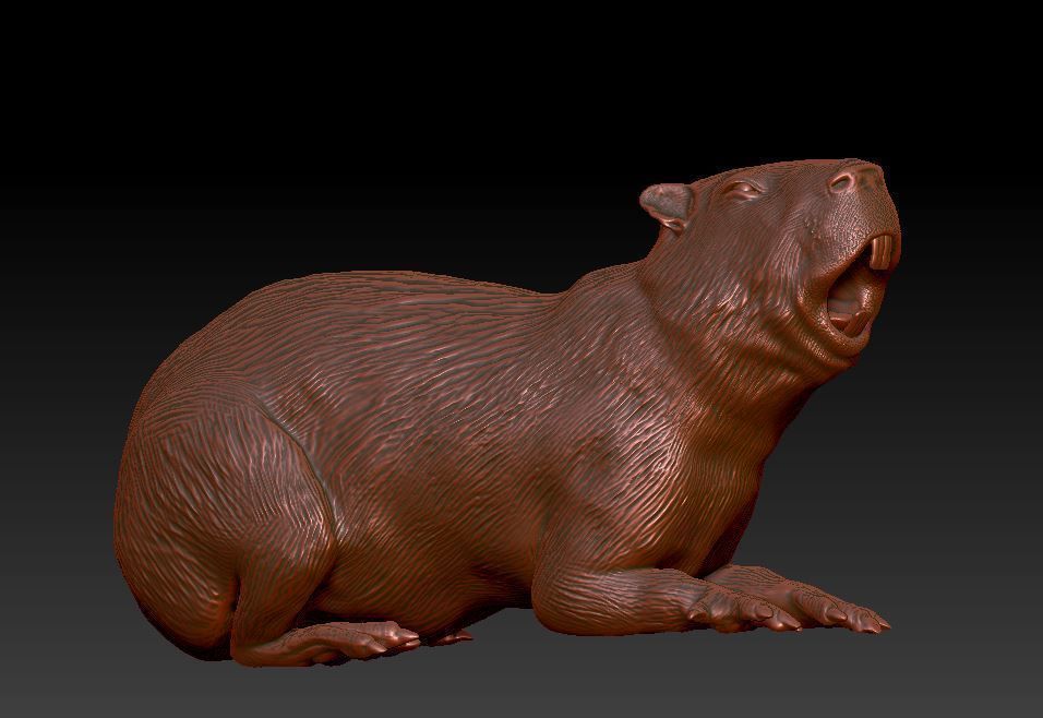 capybara 7 poses 3D print model_7