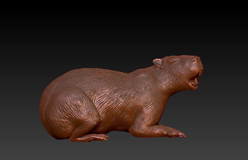 capybara 7 poses 3D print model_9