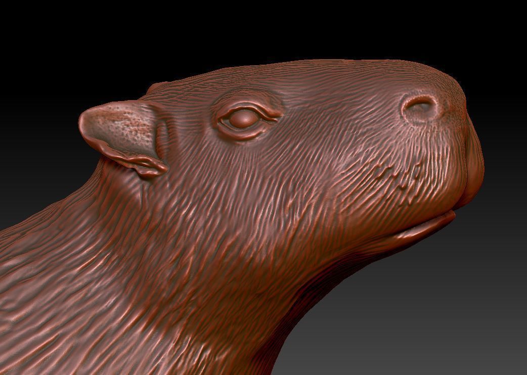 capybara 7 poses 3D print model_4