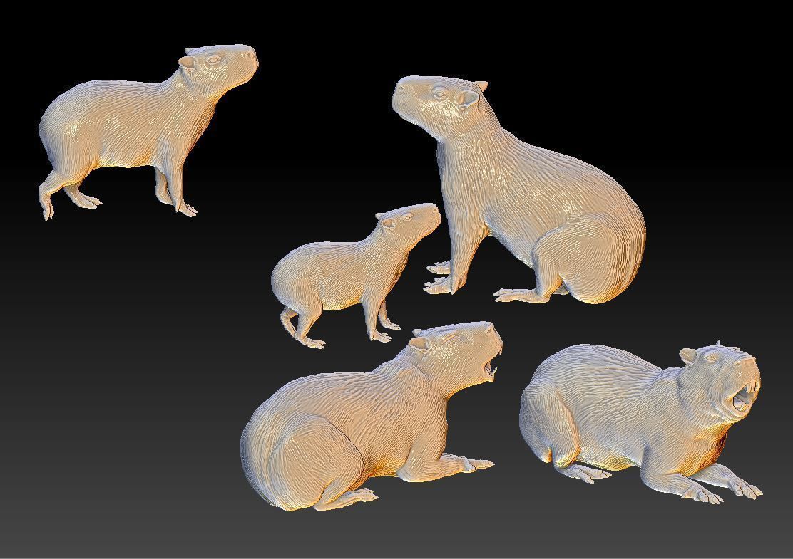 capybara 7 poses 3D print model_10