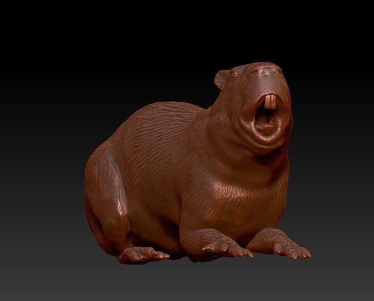 capybara 7 poses 3D print model_8