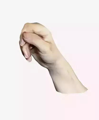 Women Hand 3D print model
