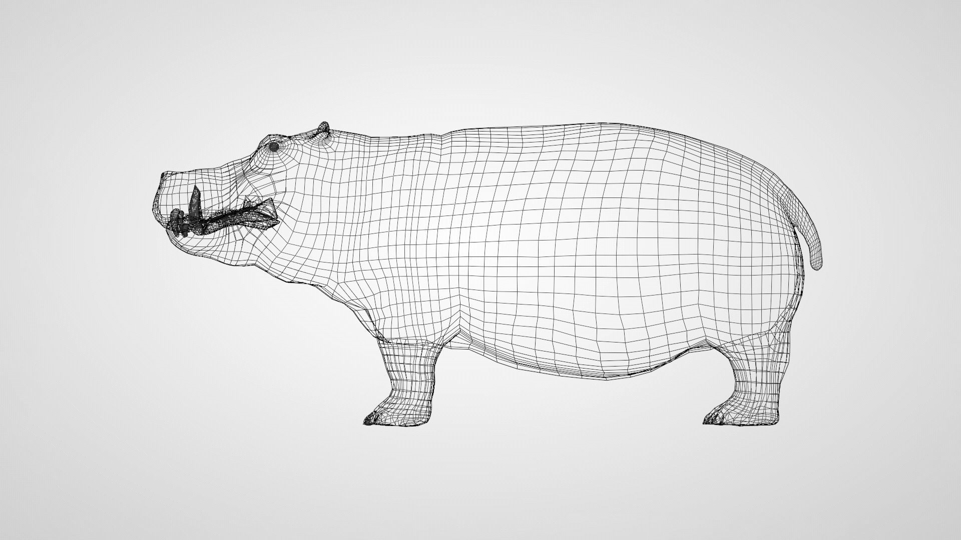 Hippo - Rigged  Low-poly 3D model_9