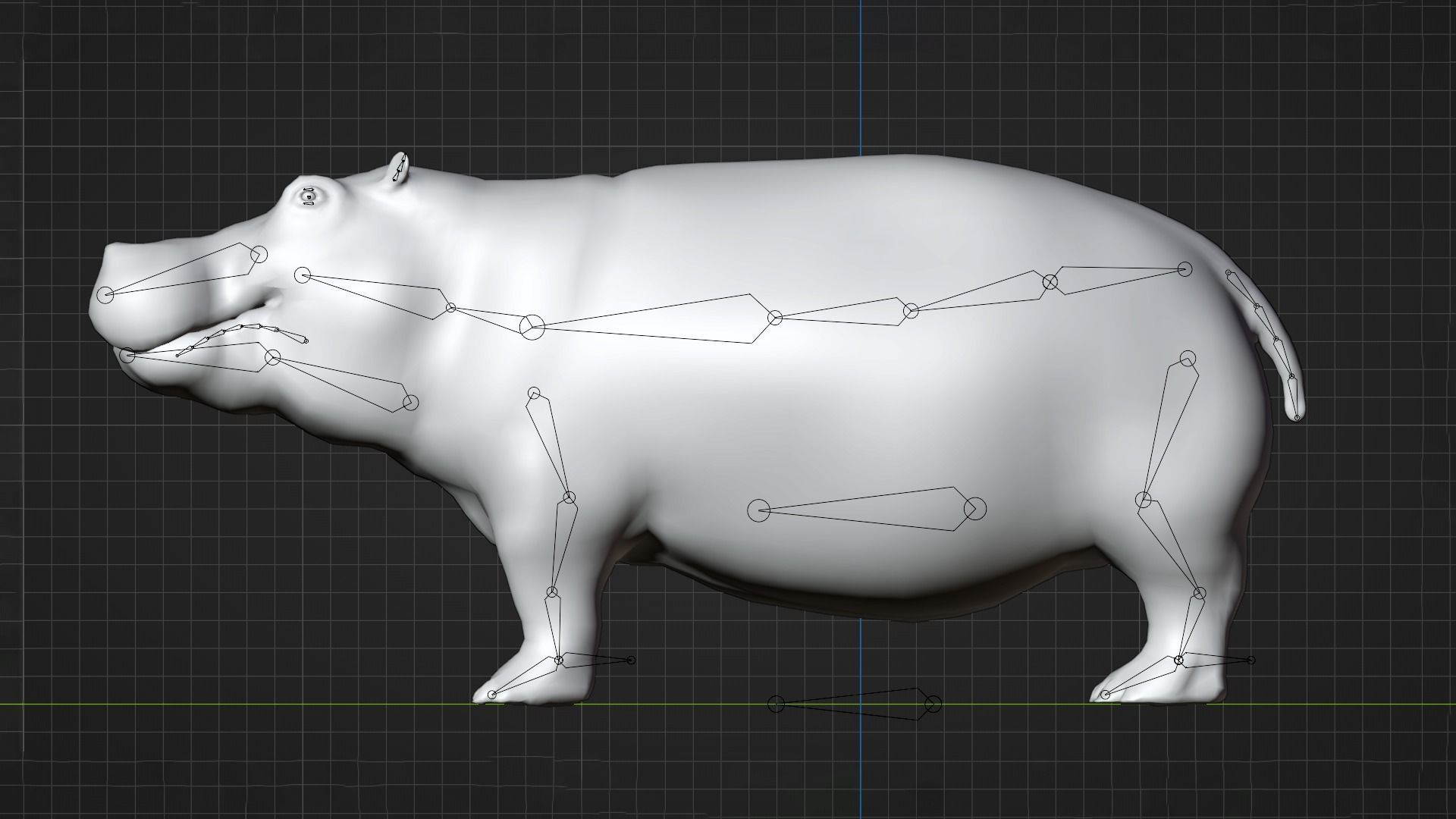 Hippo - Rigged  Low-poly 3D model_11