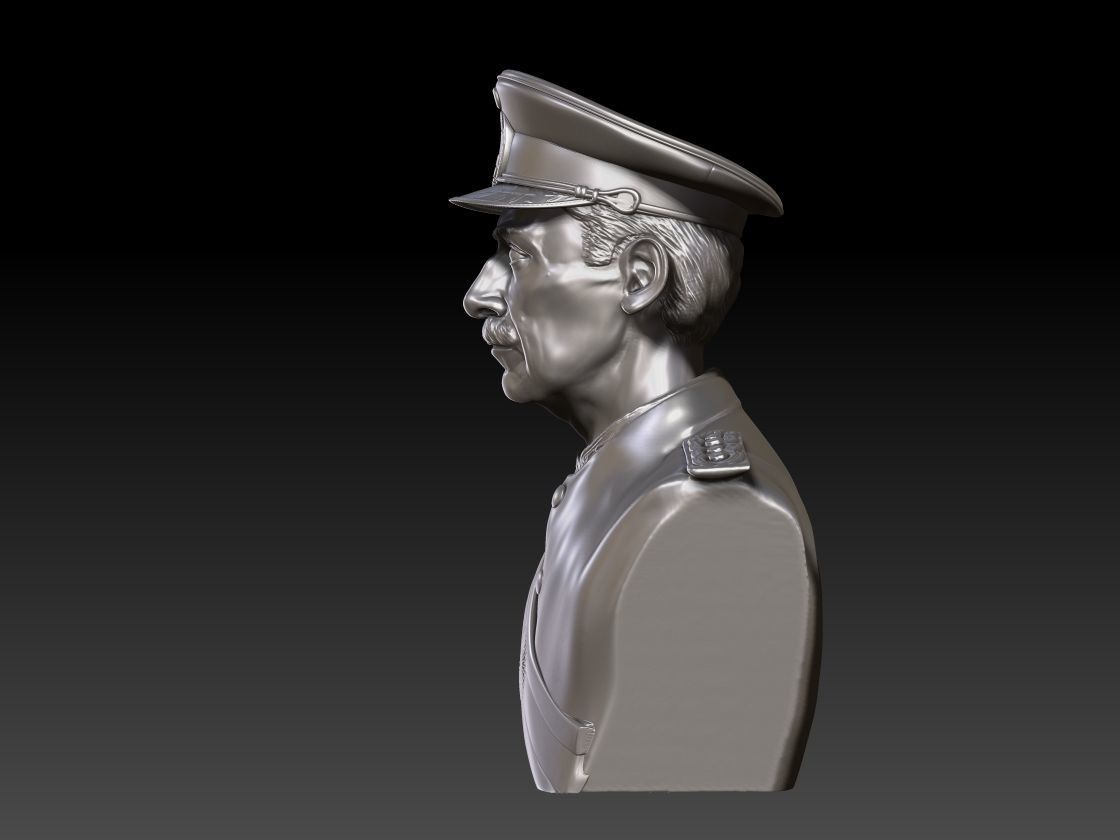 BUSTO DE VIDELA 3D print model_1