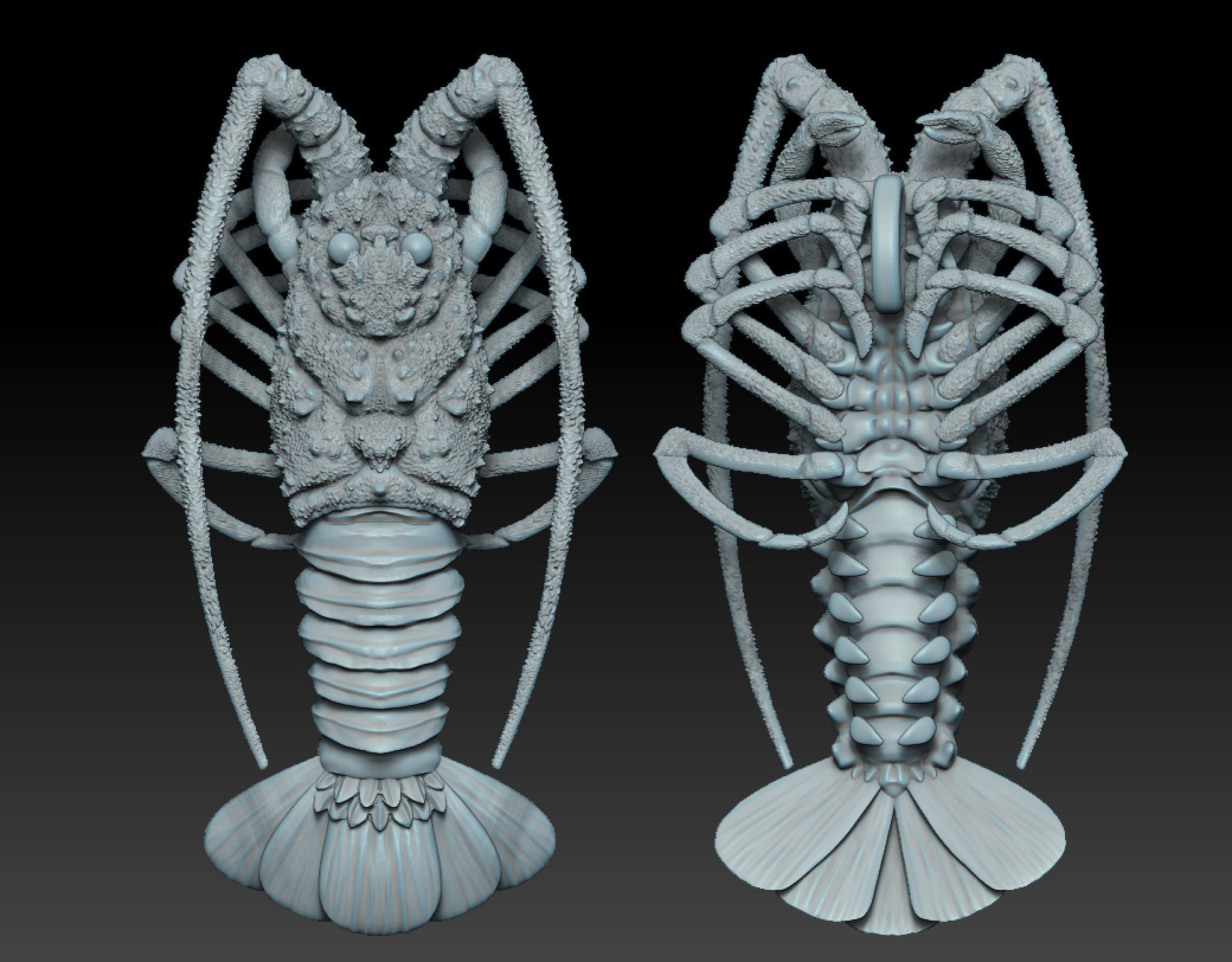 Lobster crabfish pendent 3D print model_1