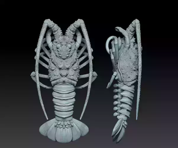 Lobster crabfish pendent 3D print model