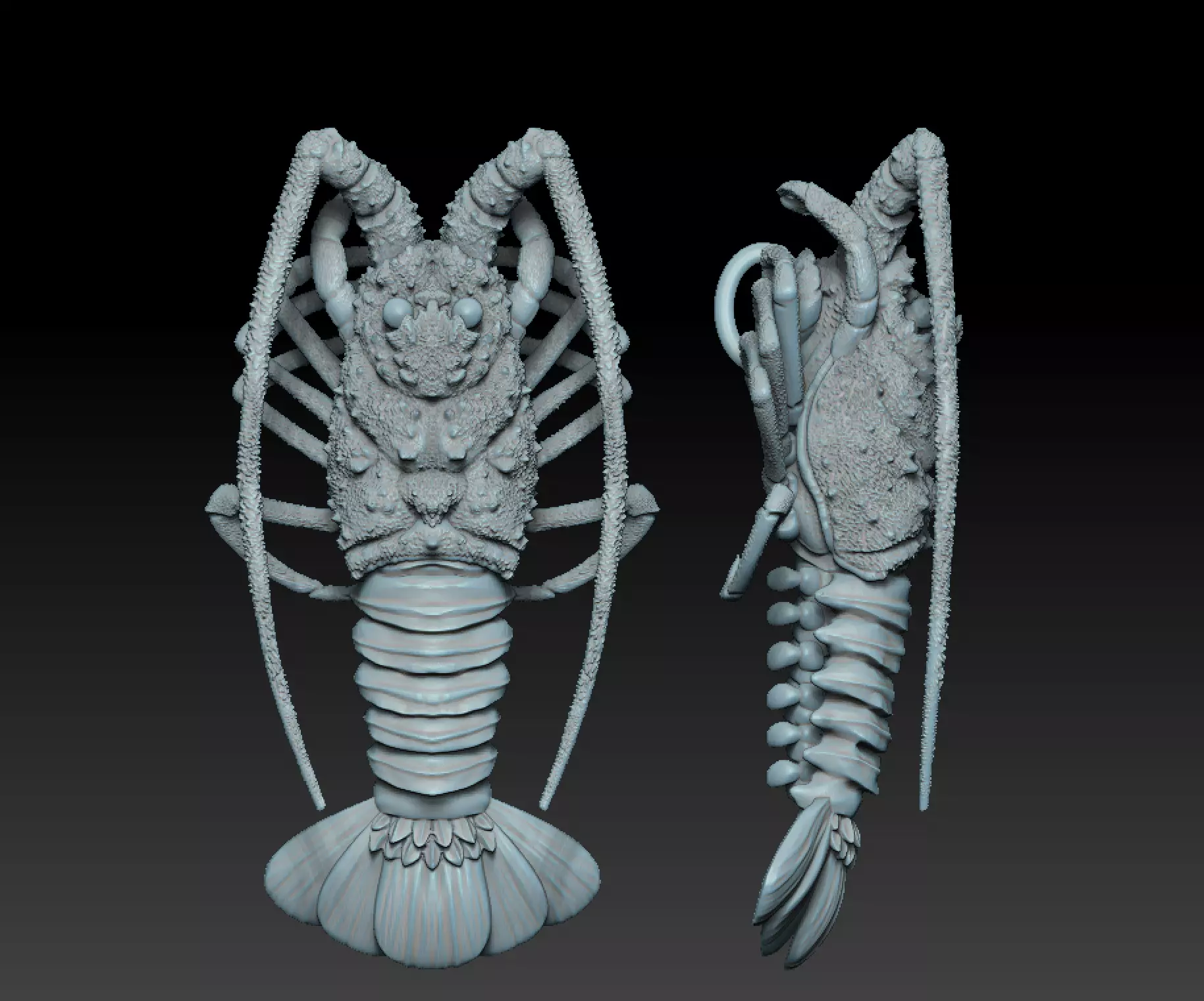 Lobster crabfish pendent 3D print model_0
