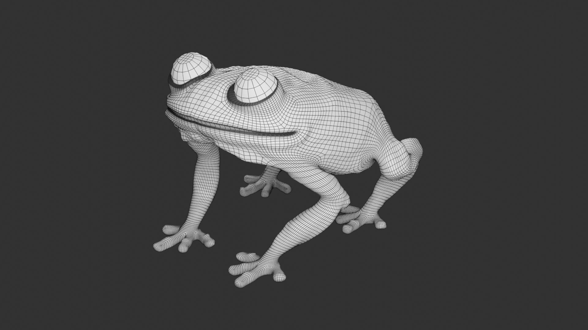 Frog 3D Model 3D print model_6
