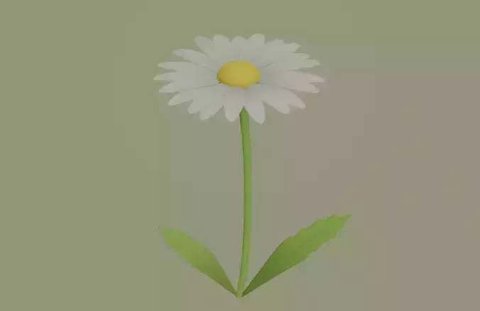 Daisy Flower