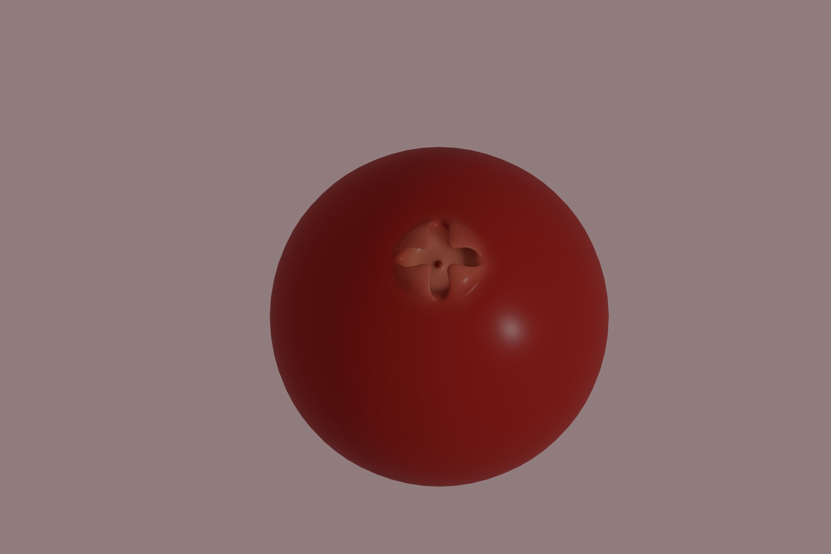 Cranberry 3D model_4