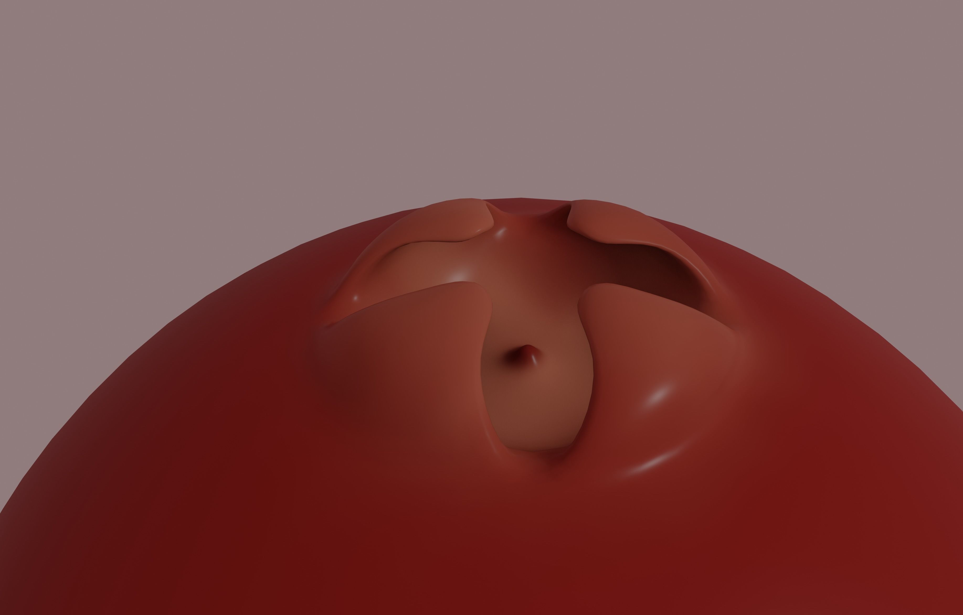 Cranberry 3D model_7